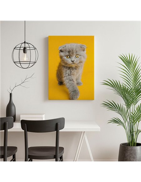 Cuadro gato ojos dorados 50x35cm lienzografía - canvas