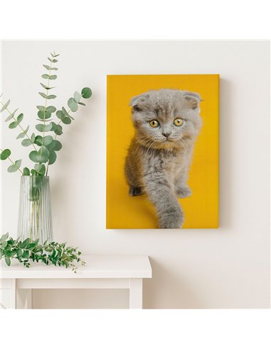 Cuadro gato ojos dorados 50x35cm lienzografía - canvas