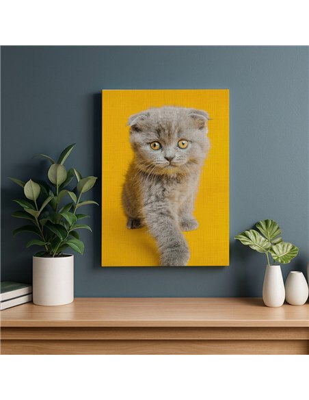 Cuadro gato ojos dorados 50x35cm lienzografía - canvas