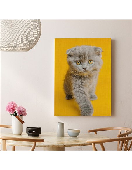 Cuadro gato ojos dorados 50x35cm lienzografía - canvas