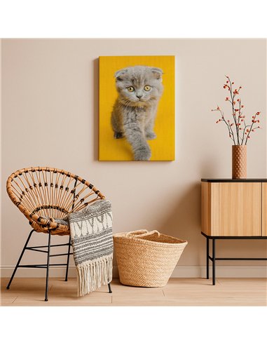 Cuadro gato ojos dorados 50x35cm lienzografía - canvas