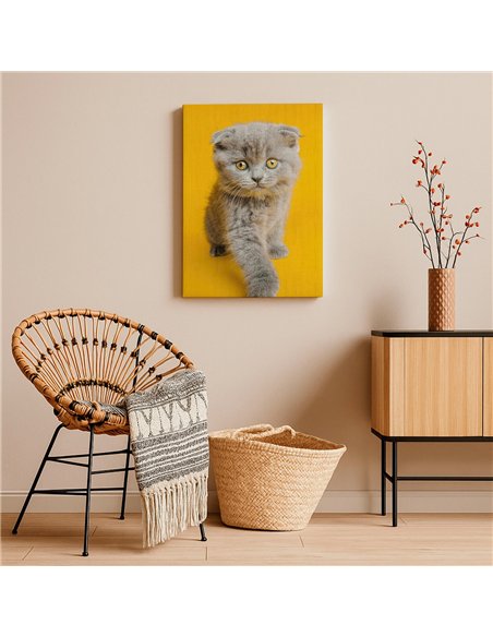 Cuadro gato ojos dorados 50x35cm lienzografía - canvas