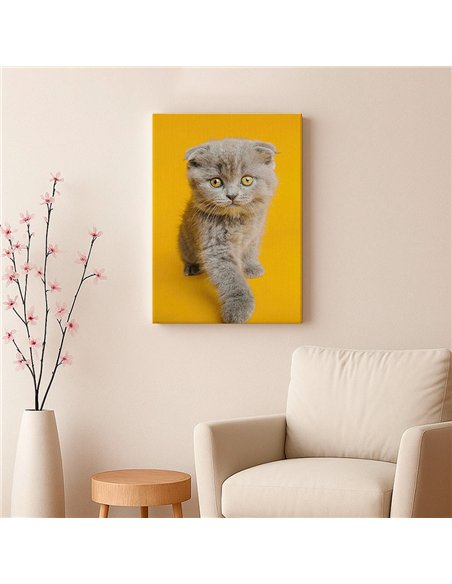 Cuadro gato ojos dorados 50x35cm lienzografía - canvas