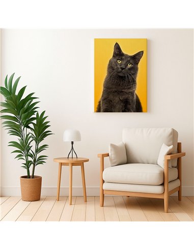 Cuadro gato estilo moderno 50x35cm lienzografía - canvas