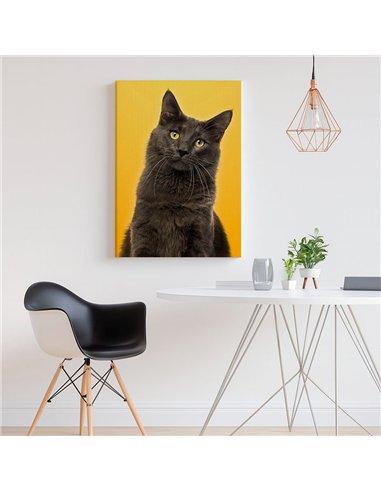 Cuadro gato estilo moderno 50x35cm lienzografía - canvas