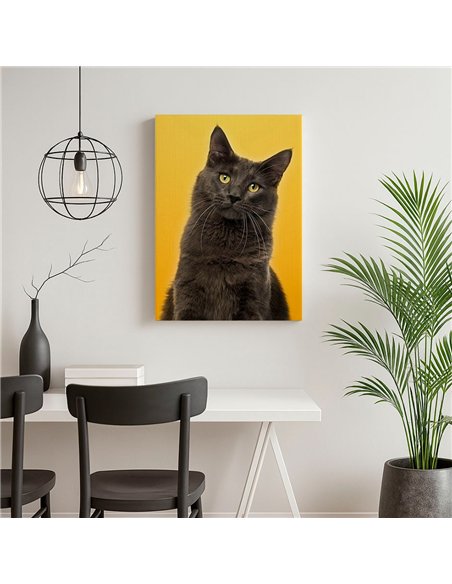 Cuadro gato estilo moderno 50x35cm lienzografía - canvas