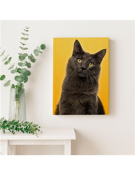 Cuadro gato estilo moderno 50x35cm lienzografía - canvas