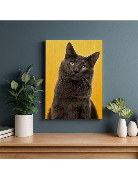 Cuadro gato estilo moderno 50x35cm lienzografía - canvas