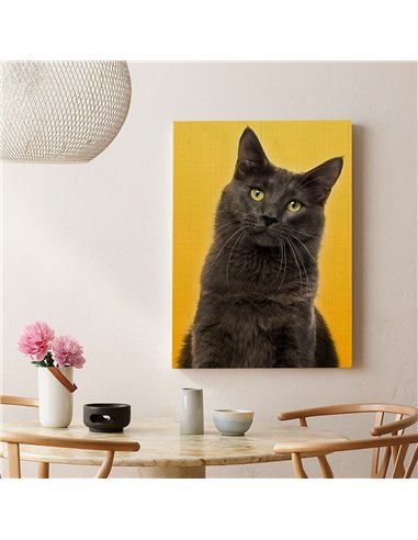 Cuadro gato estilo moderno 50x35cm lienzografía - canvas