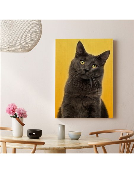 Cuadro gato estilo moderno 50x35cm lienzografía - canvas