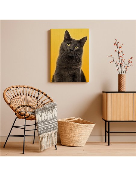 Cuadro gato estilo moderno 50x35cm lienzografía - canvas