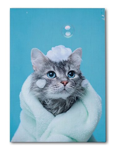Cuadro gato baño y espuma tierno 50x35cm lienzografía canvas