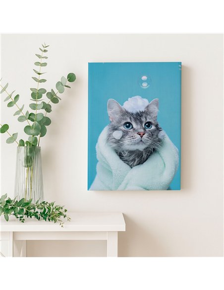 Cuadro gato baño y espuma tierno 50x35cm lienzografía canvas