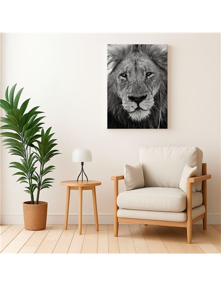 Cuadro león mirada firme 50x35cm lienzografía - canvas