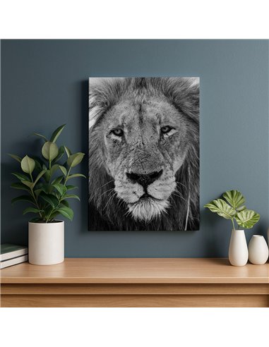 Cuadro león mirada firme 50x35cm lienzografía - canvas