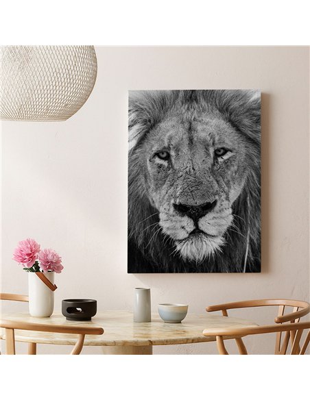 Cuadro león mirada firme 50x35cm lienzografía - canvas