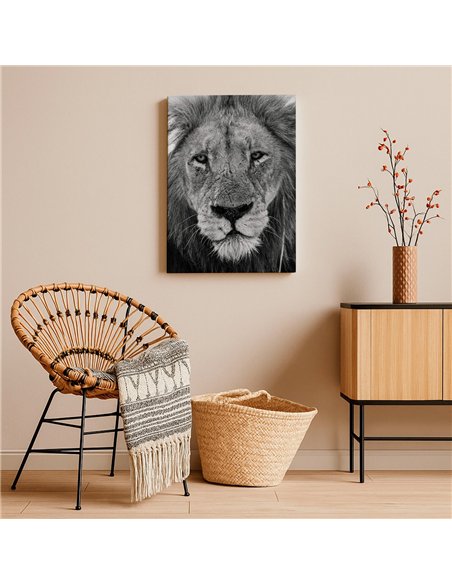 Cuadro león mirada firme 50x35cm lienzografía - canvas