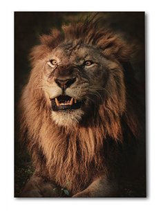 Cuadro león rugido real 50x35cm lienzografía - canvas