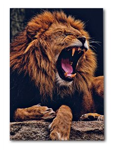 Cuadro león fiera rugiente 50x35cm lienzografía - canvas