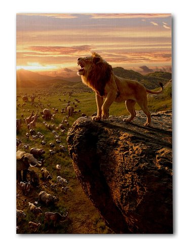 Cuadro rey León de la sabana 50x35cm lienzografía - canvas