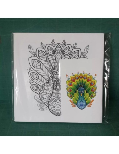 Cuadros en lienzo para pintar