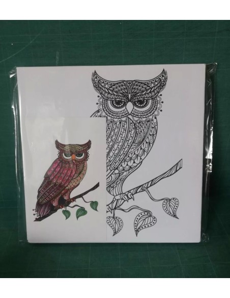 Cuadros en lienzo para pintar