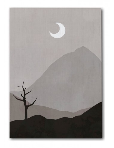 Cuadro Abstracto Paisaje 35x50cm Lienzografía Diseño 0385