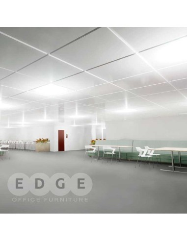 Render Arquitectónico Profesional - Visualizaciones Realistas OSG