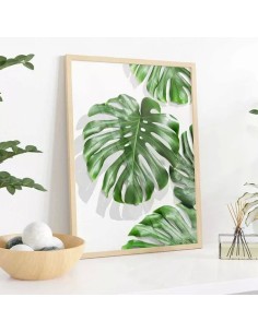 Monstera Leaf Iii Cuadro Transparente 30 X 40 Cm