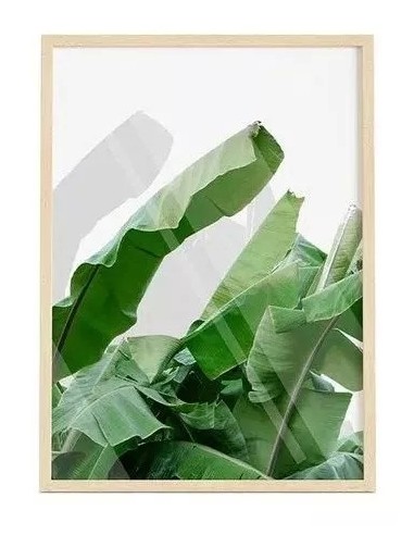 Cuadro Transparente Banana Leaf 30 X 40 Cm