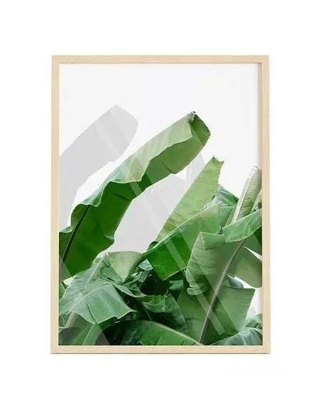 Cuadro Transparente Banana Leaf 30 X 40 Cm