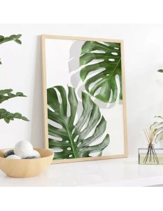Cuadro Transparente Monstera Leaf I 30 X 40 Cm