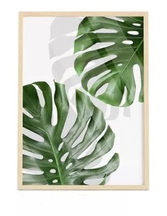 Cuadro Transparente Monstera Leaf I 30 X 40 Cm 2