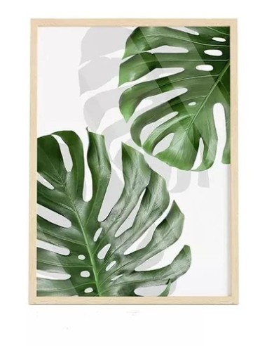 Cuadro Transparente Monstera Leaf I 30 X 40 Cm