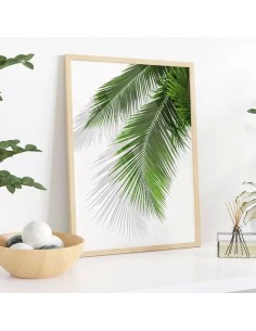Cuadro Transparente Palm Leaf I 30 X 40 Cm