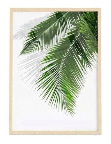 Cuadro Transparente Palm Leaf I 30 X 40 Cm