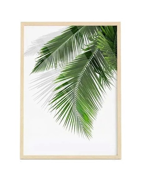 Cuadro Transparente Palm Leaf I 30 X 40 Cm