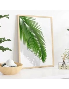 Cuadro Transparente Palm Leaf Ii 30 X 40 Cm