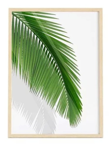 Cuadro Transparente Palm Leaf Ii 30 X 40 Cm