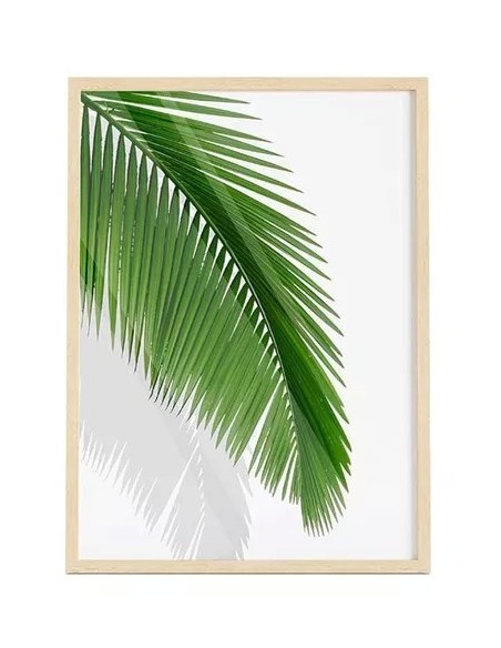 Cuadro Transparente Palm Leaf Ii 30 X 40 Cm