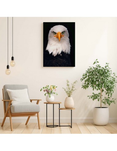 Cuadro Aguila de Mirada Firme en canvas Lienzografia de OSGESTUDIO