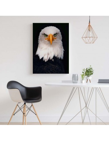 Cuadro Aguila de Mirada Firme en canvas Lienzografia de OSGESTUDIO