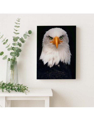 Cuadro Aguila de Mirada Firme en canvas Lienzografia de OSGESTUDIO