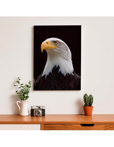 Cuadro Aguila de Mirada Firme en canvas Lienzografia de OSGESTUDIO