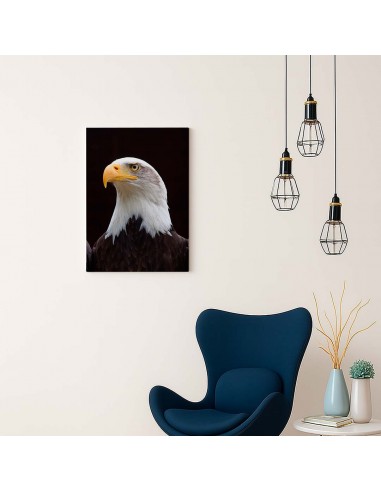 Cuadro Aguila de Mirada Firme en canvas Lienzografia de OSGESTUDIO
