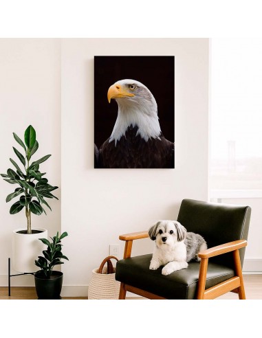 Cuadro Aguila de Mirada Firme en canvas Lienzografia de OSGESTUDIO