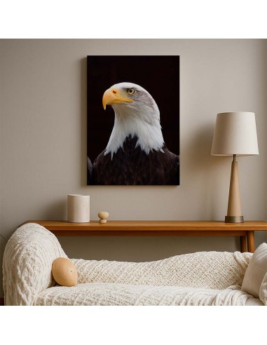 Cuadro Aguila de Mirada Firme en canvas Lienzografia de OSGESTUDIO