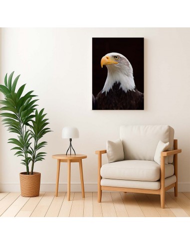 Cuadro Aguila de Mirada Firme en canvas Lienzografia de OSGESTUDIO