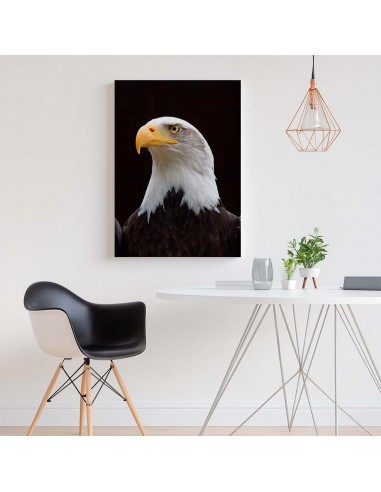Cuadro Aguila de Mirada Firme en canvas Lienzografia de OSGESTUDIO