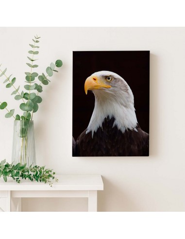 Cuadro Aguila de Mirada Firme en canvas Lienzografia de OSGESTUDIO